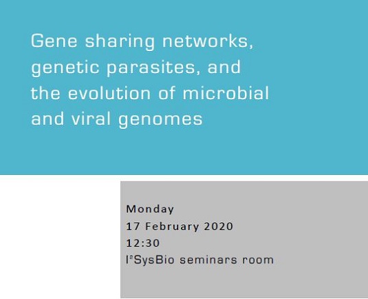 Gene sharing networks, genetic parasites, and the evolution of microbial and viral genomes